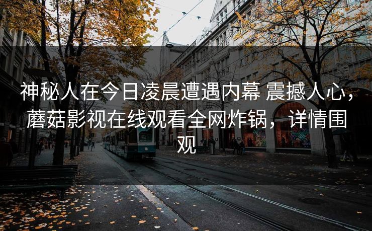 神秘人在今日凌晨遭遇内幕 震撼人心，蘑菇影视在线观看全网炸锅，详情围观